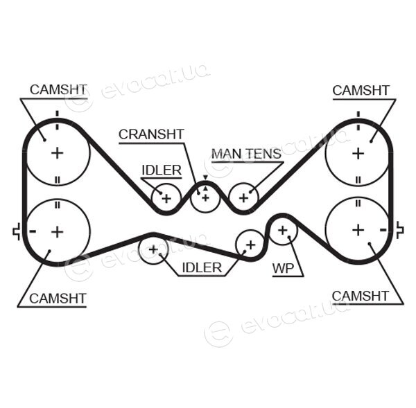 Gates K015384XS