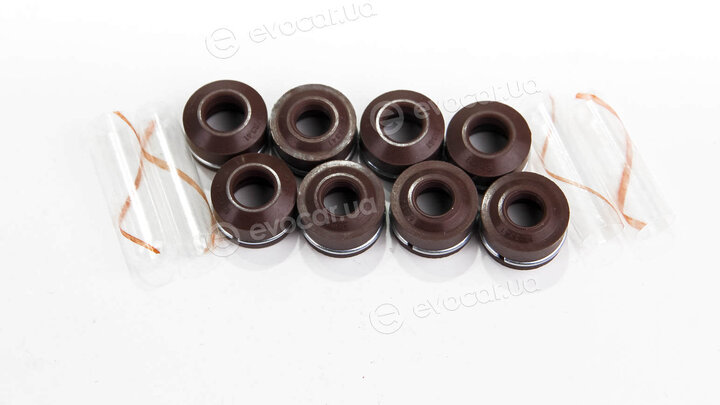 Elring 764.019