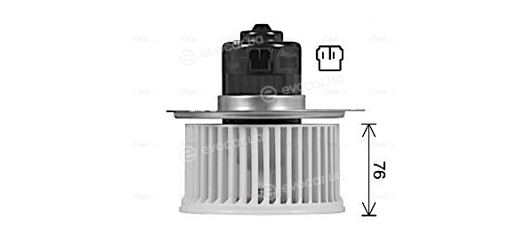 AVA DW8444