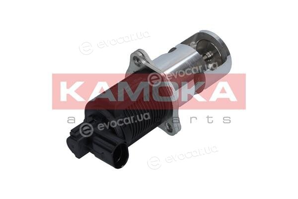 Kamoka 19009