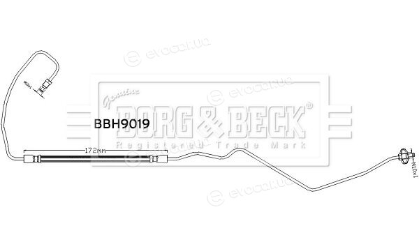 Borg & Beck BBH9019