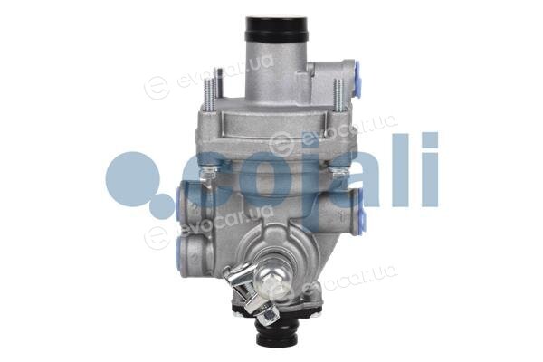Cojali 2220310
