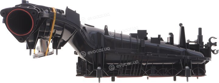 Solgy 114266