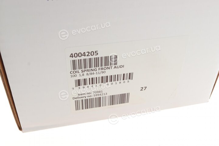 Lesjofors 4004205