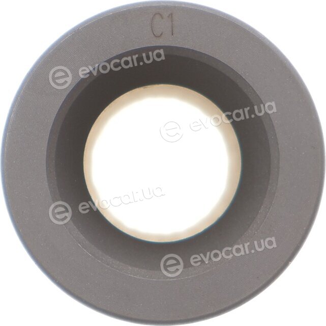 Mahle 013 PI 00136 002