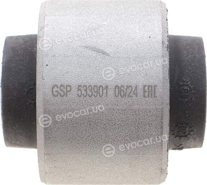 GSP 533901