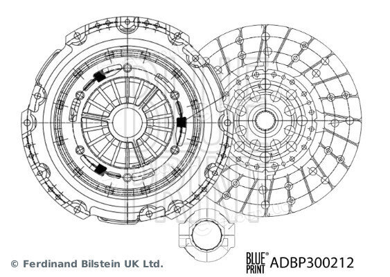 Blue Print ADBP300212