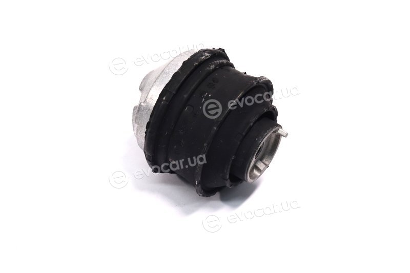 Sasic 9002498