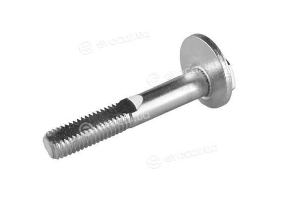 Tedgum TED55072