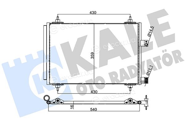 Kale 429500