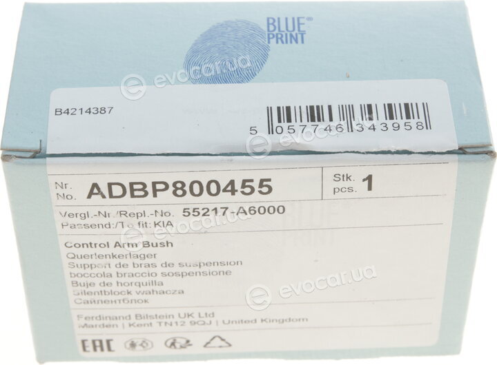 Blue Print ADBP800455