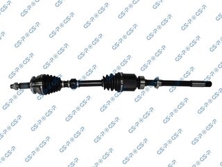 GSP 259518