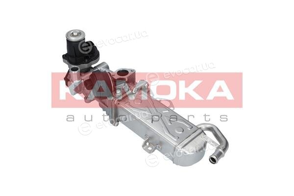 Kamoka 19071