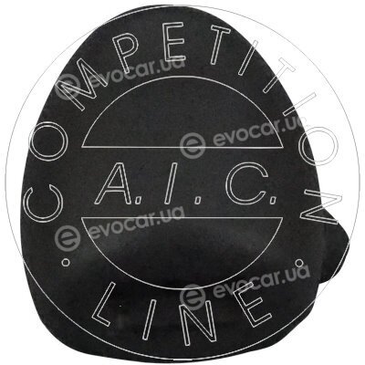 AIC 57938