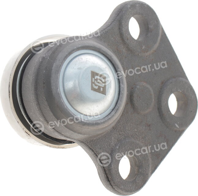 Solgy 203065