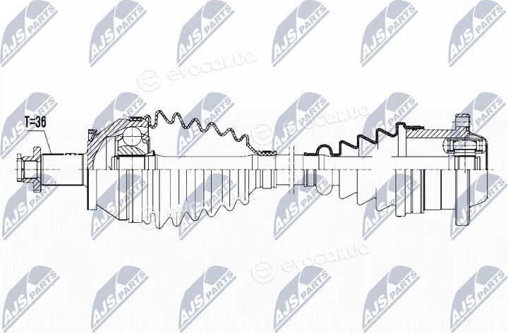 NTY NPW-VW-095