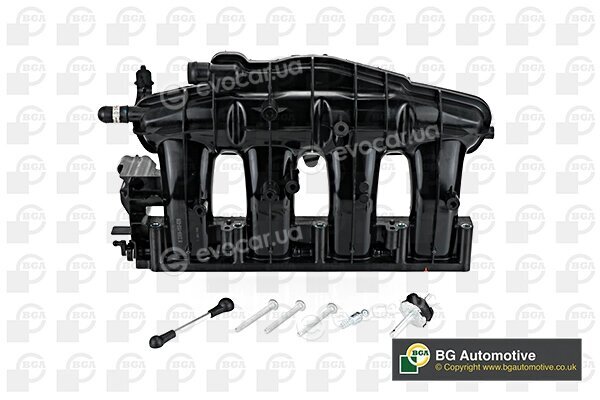 BGA MG01022