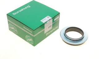 Borsehung B18294