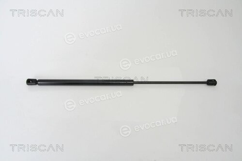 Triscan 8710 24105