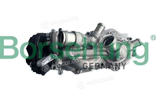 Borsehung B11214