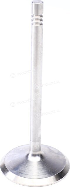 Mahle 029 VE 31096 000