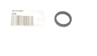 VAG 06B121687