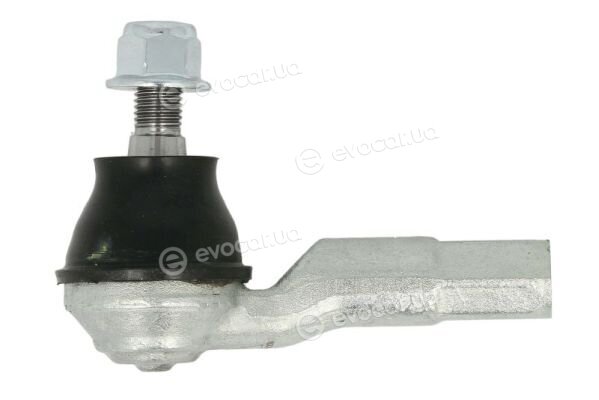 Reinhoch RH01-0036