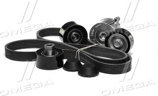 Continental 6PK1352K1