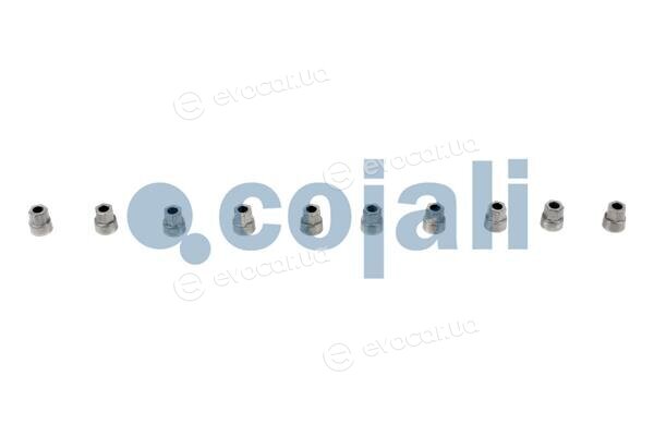 Cojali 6084030