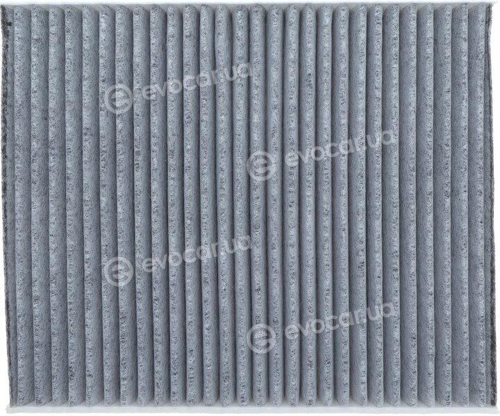 Solgy 104077