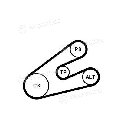 Continental 6PK1453K1