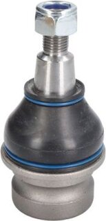 Reinhoch RH03-0041