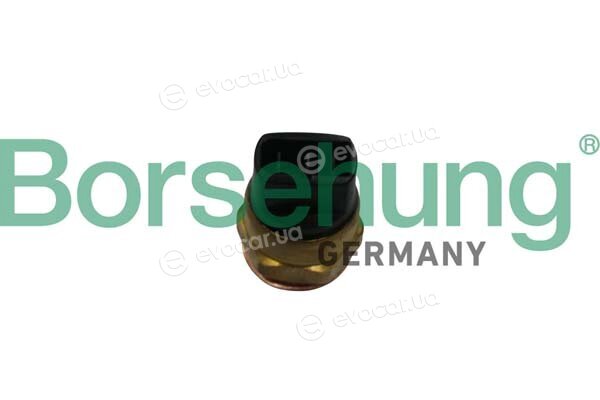 Borsehung B18290