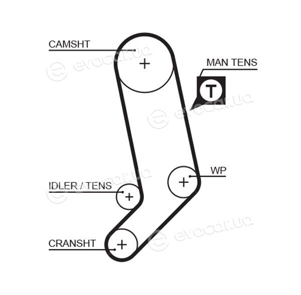 Gates K025323XS