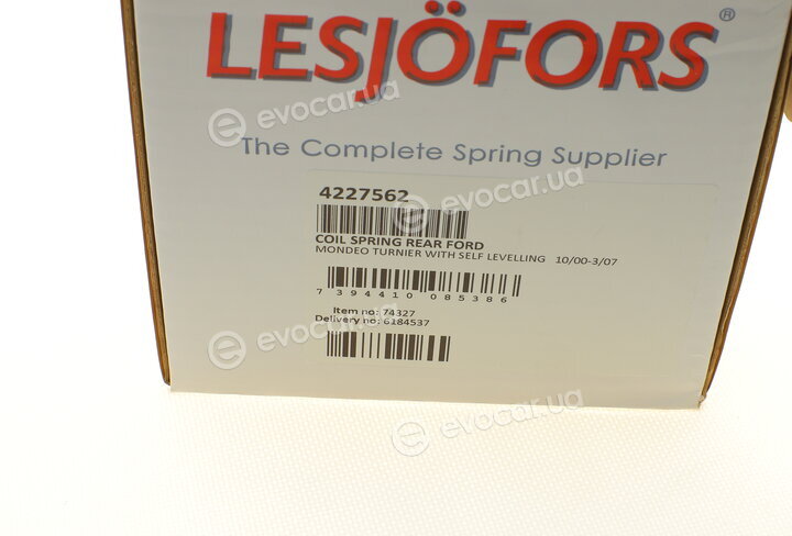 Lesjofors 4227562