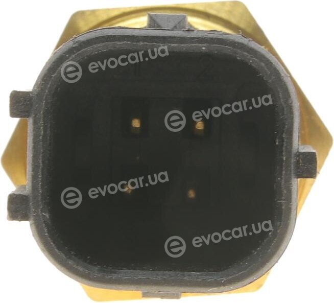 Bogap C4126101