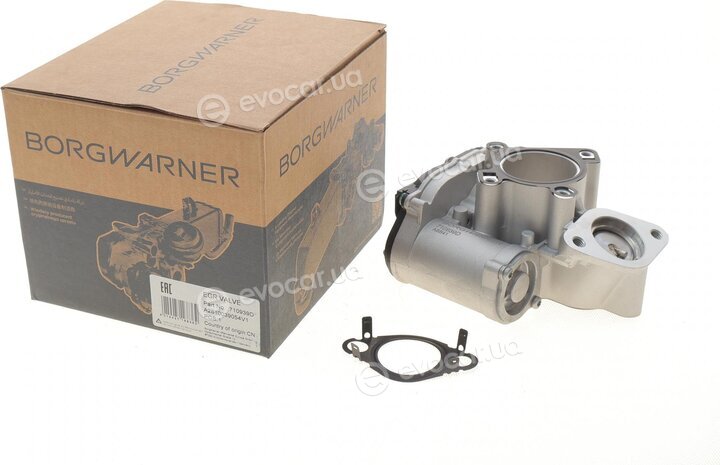 BorgWarner 710939D
