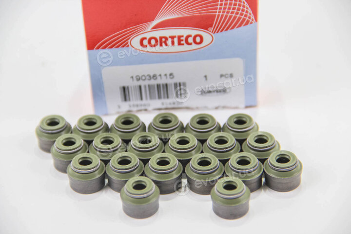 Corteco 19036115