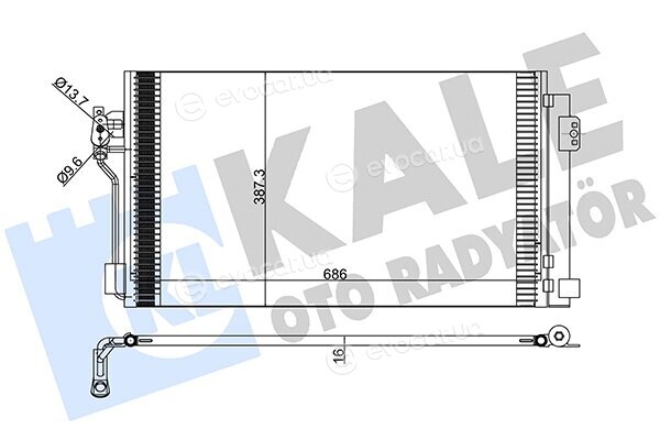 Kale 381500