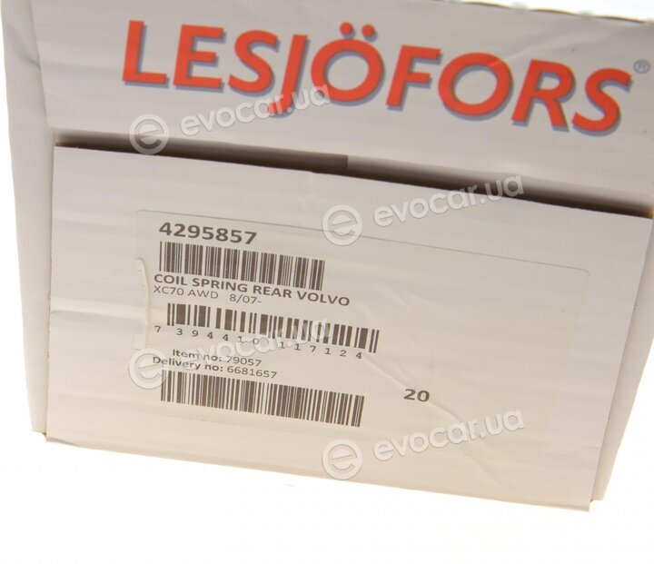 Lesjofors 4295857