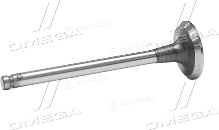 Gunes 4034