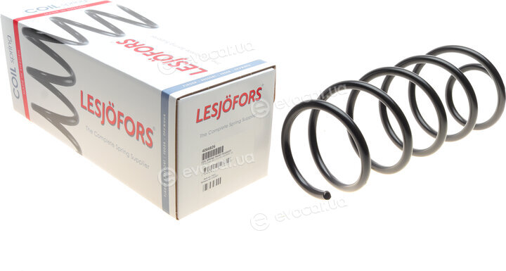 Lesjofors 4066826