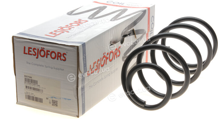Lesjofors 4027596