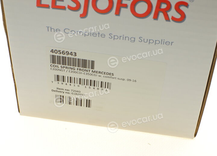 Lesjofors 4056943
