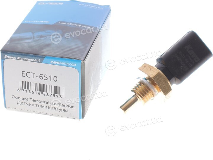 Kavo ECT-6510