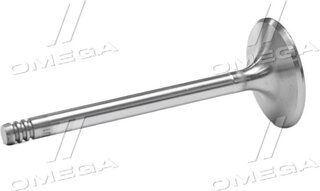 Gunes 1363