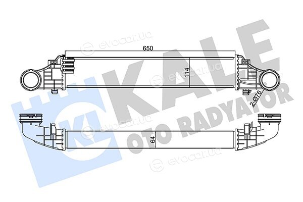 Kale 344985