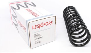 Lesjofors 4208458