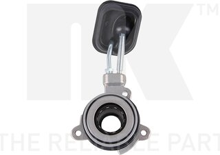 NK 142501
