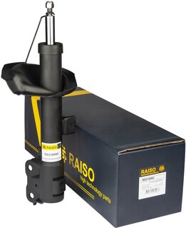 Raiso RS316993